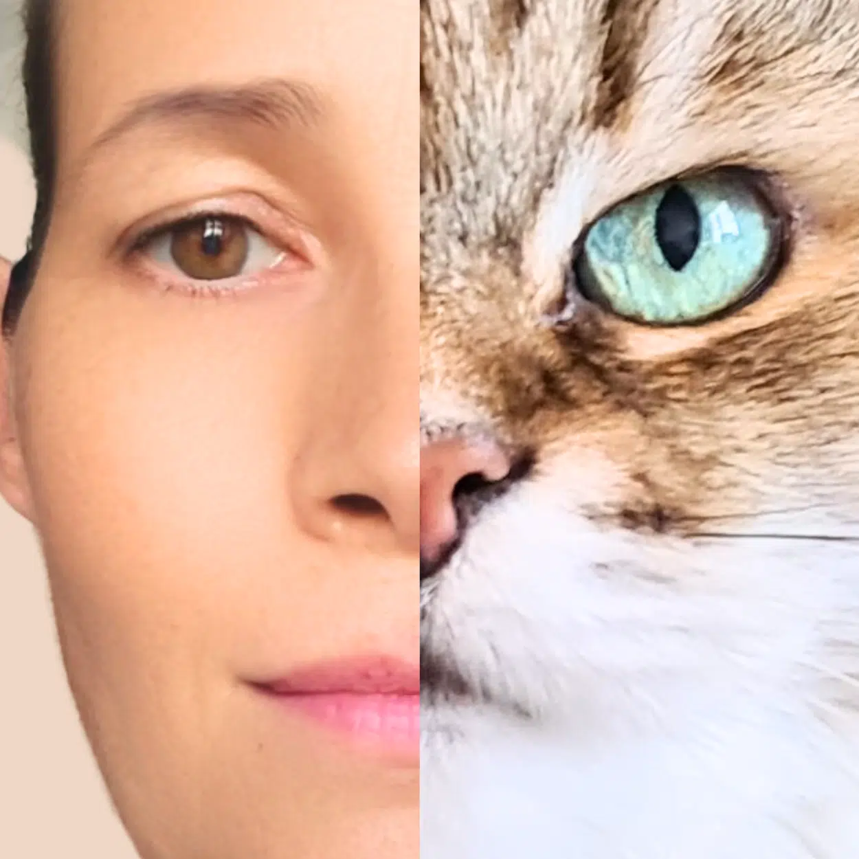 therapeute-holistique-animaux-Jasmine-le-monde-d-ailleurs