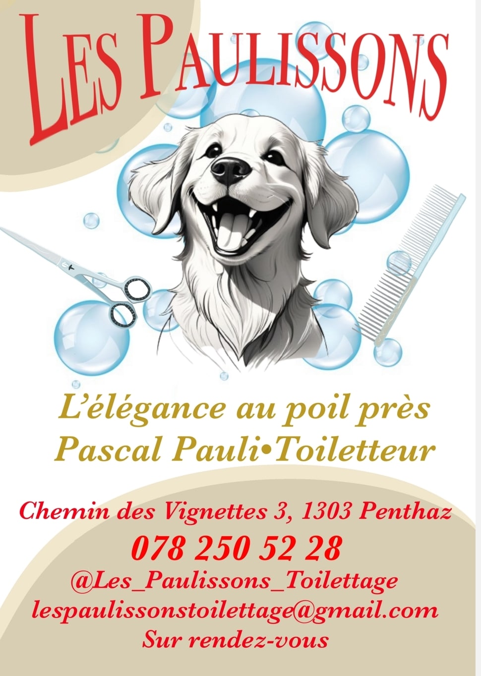 Les-Paulissons